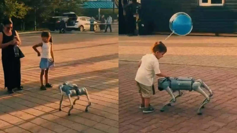 робособака