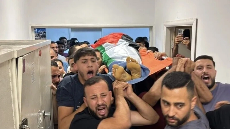 B'Tselem Izraıl bıligin etnıkalyq tazartýdy qoldady dep aıyptady