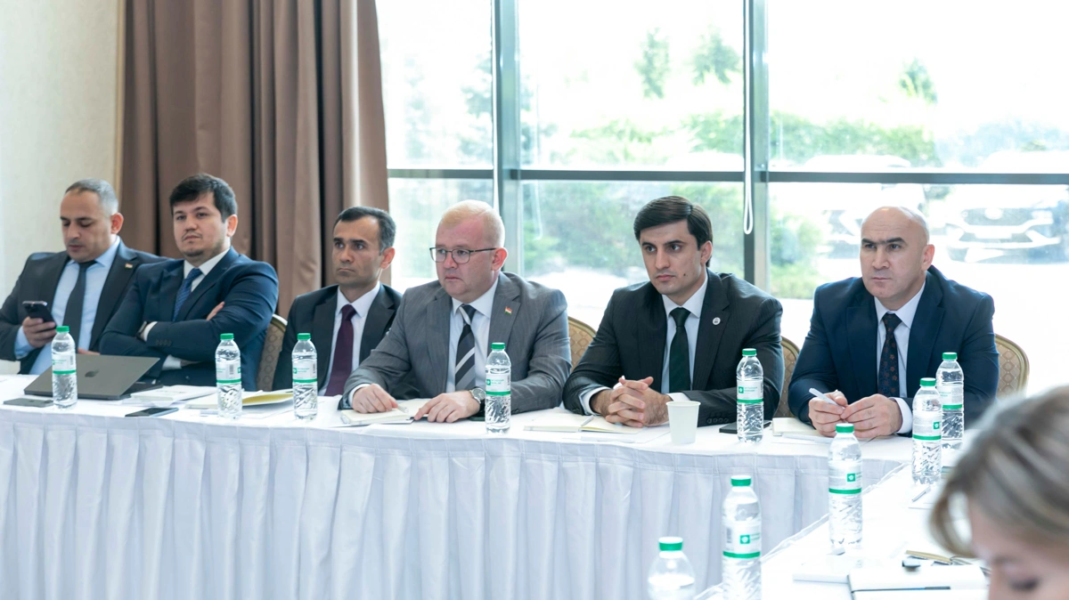 Қазақстан Тәжікстанмен цифрландыру саласындағы тәжірибесін бөлісіп жатыр 