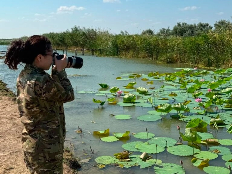 Новый участок, где растет редкий краснокнижный лотос, обнаружили близ Атырау