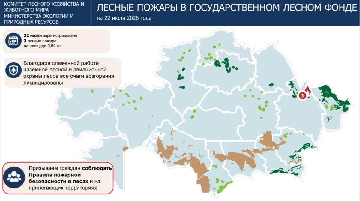 Три лесных пожара произошли в &laquo;Семей орманы&raquo; из-за грозовых разрядов