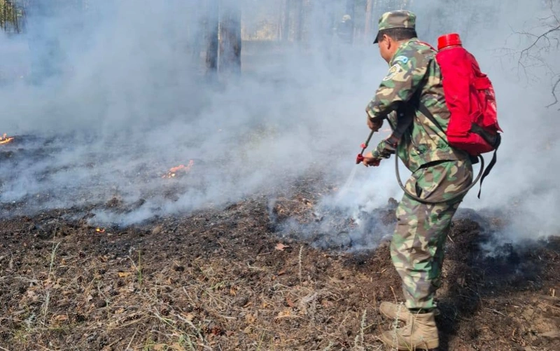 Бүгін еліміздің орман қоры аумағында 3 орман өрті тіркелді