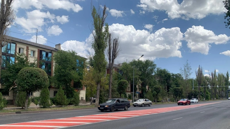 В центре Тараза хотят вырубить 90 тополей