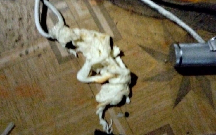 чечил