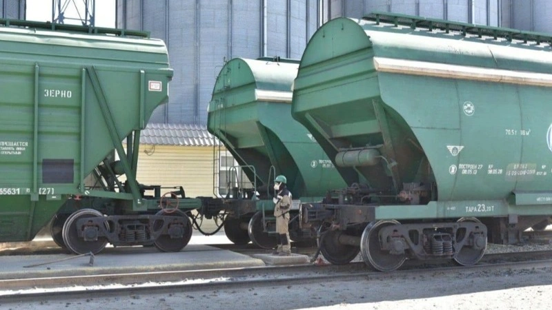 Kazakhstan exports over 13 mln mt of grain, flour