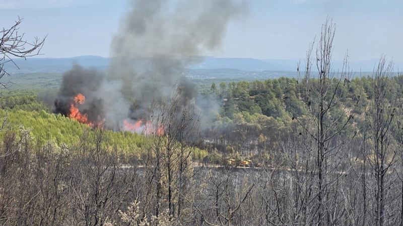 France on high alert as wildfire risk surges