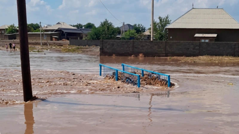 Ливни подтопили улицы и дворы в Сарыагашском районе и Шымкенте