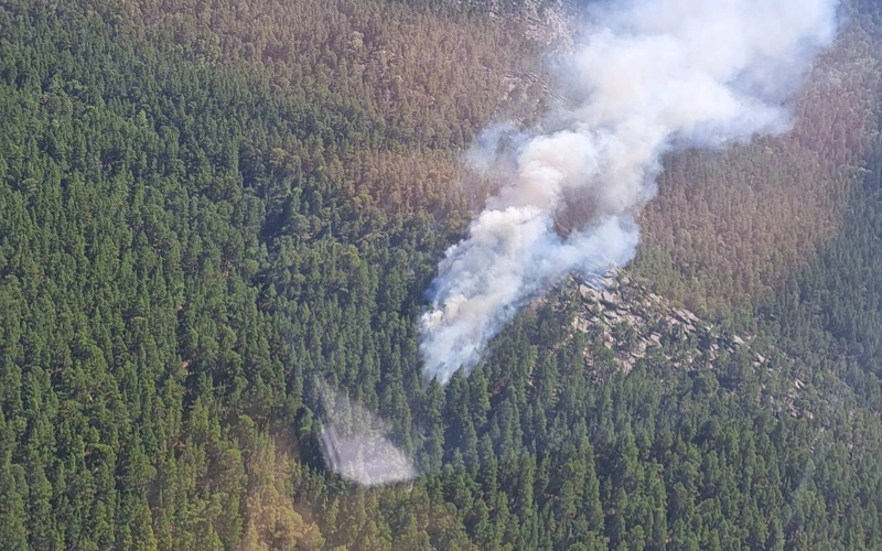 Еліміздің орман қорында бір тәулікте үш өрт оқиғасы тіркелді