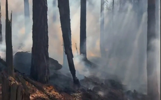 75 тонн воды сбросили с вертолета при тушении пожара на горе Бурабай, вызванного молнией