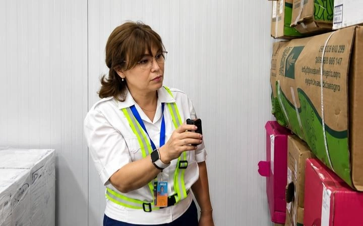 Алматы әуежайында қауіпті зиянкестер анықталған өнімдер елге кіргізілмеді
