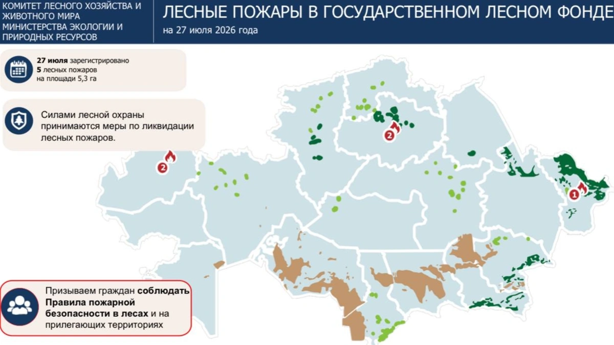 лесные пожары