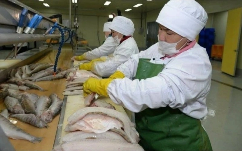 2,300 tons of fish caught in Kazakhstan’s Kyzylorda region in H1 2026