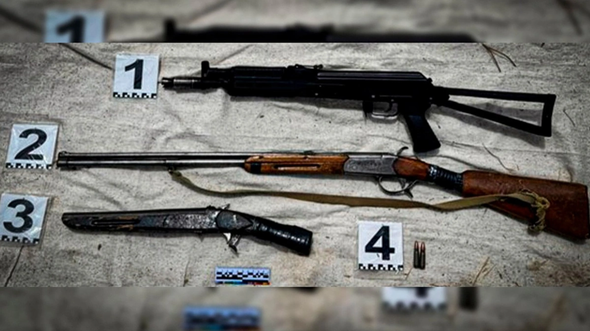 Более 30 единиц оружия и 270 боеприпасов изъяли в Казахстане