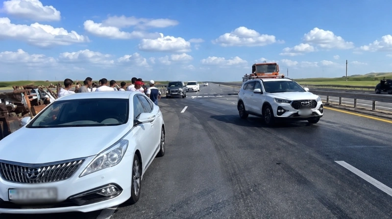 Два человека погибли и один пострадал в ДТП с грузовиком в Акмолинской области
