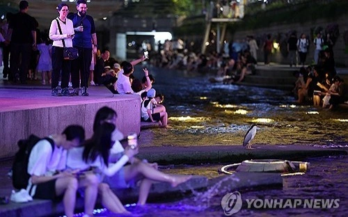 South Korea, heat wave, tropical nights