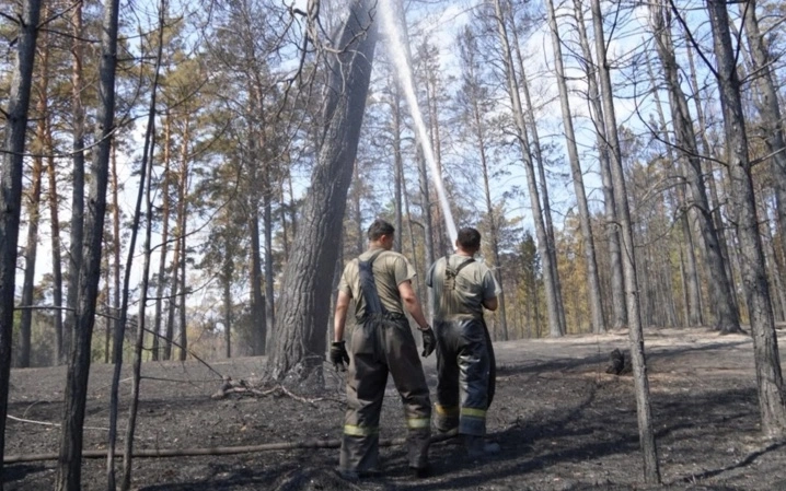 пожар лес 