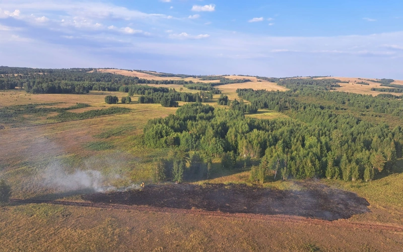 Семь лесных пожаров ликвидировали в Казахстане за сутки