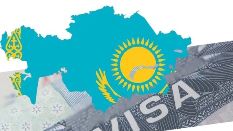 виза