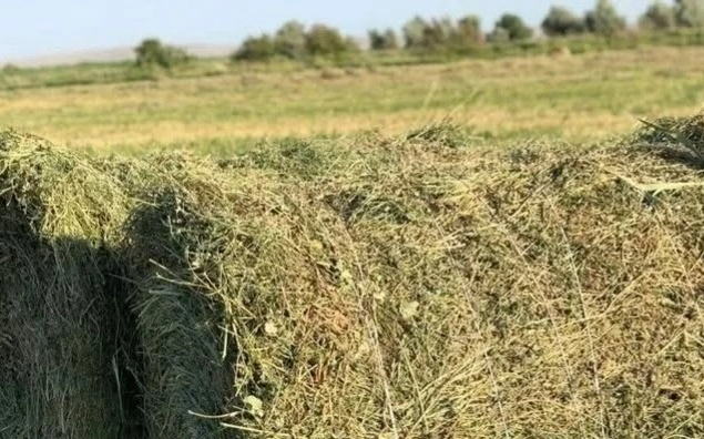 в