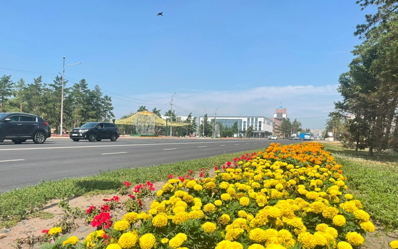 Кратковременные дожди в течение всего августа прогнозируют в Павлодарской области
