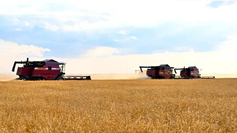 Kazakhstan harvests 1.6 mln tons of grain
