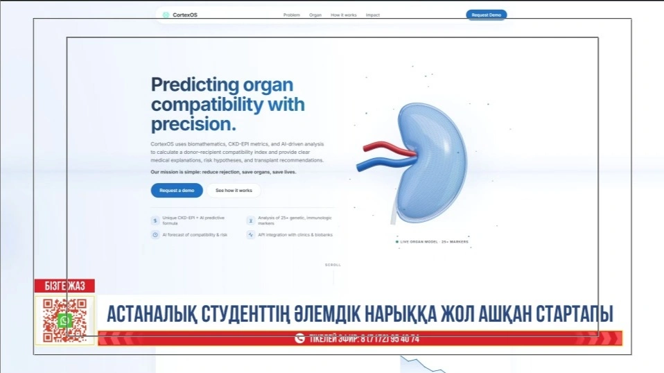 Донор мен реципиенттің сәйкестігін бағалайтын AI қалай жұмыс істейді 