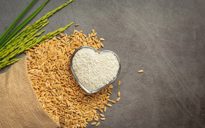 Rice, climate change