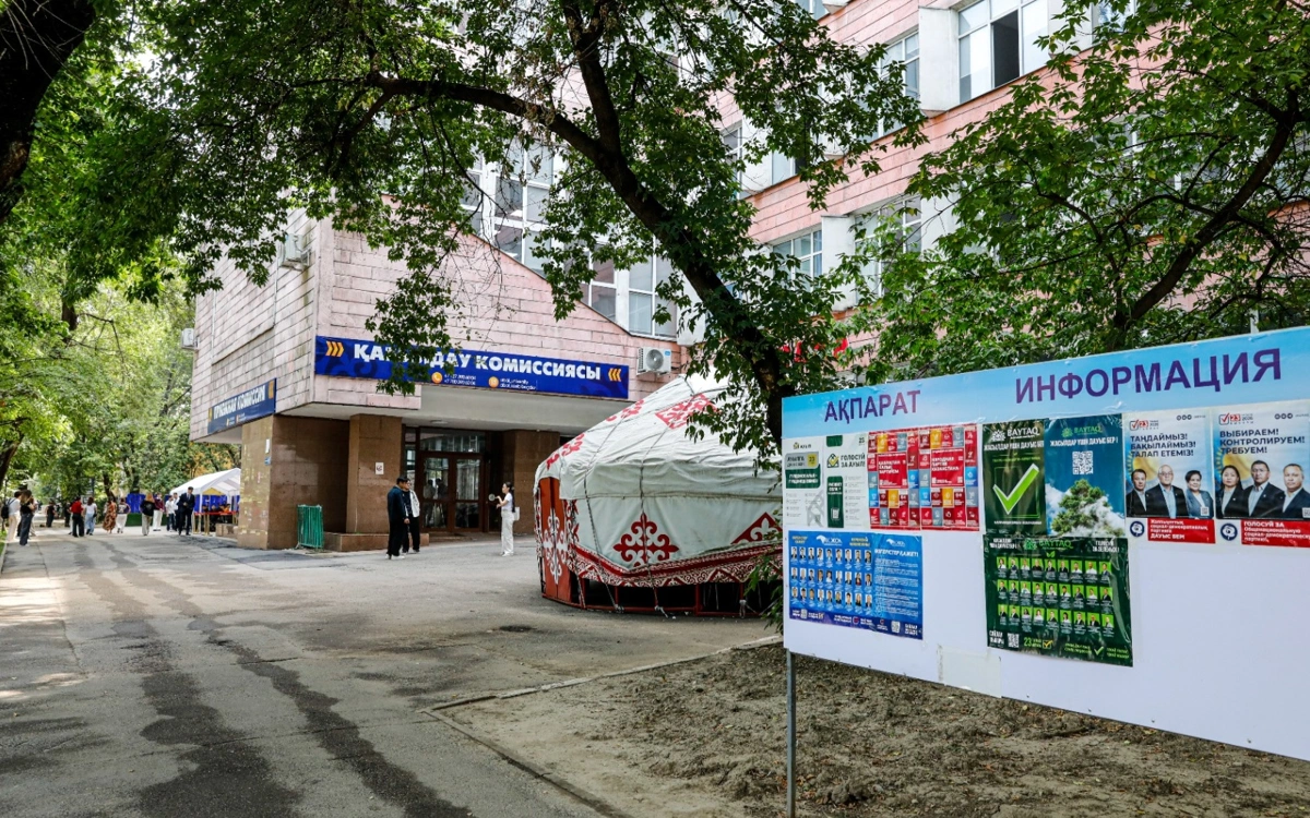 выборы