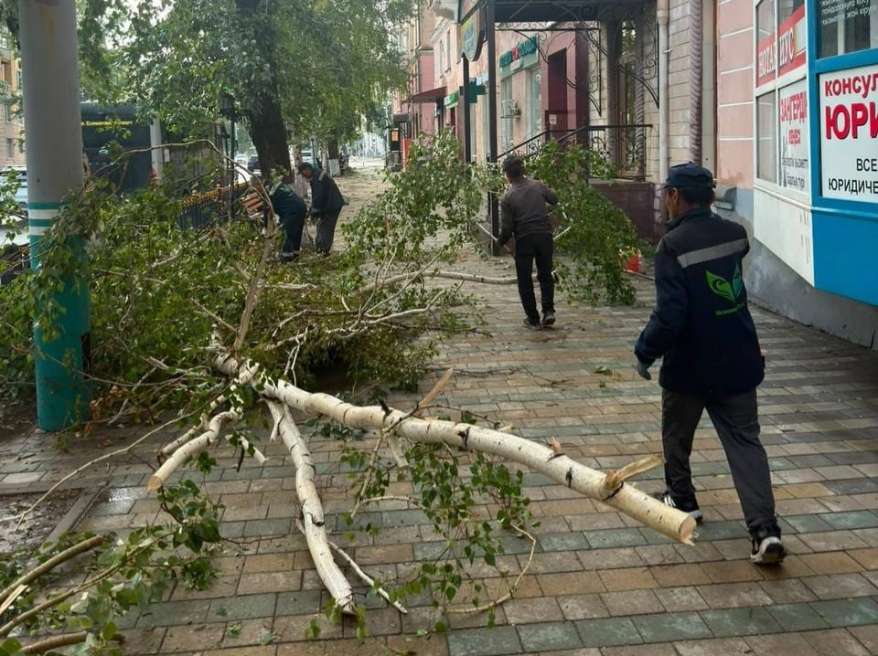 Ураган оставил без света 25 тысяч жителей Усть-Каменогорска