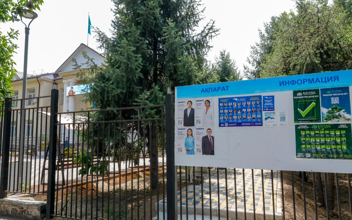 выборы