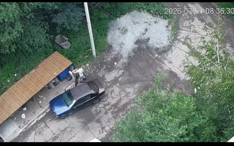 Шығыс Қазақстан облысында 130-дан астам қоқыс үйіндісі анықталды