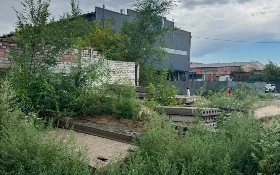 &laquo;Таза Қазақстан&raquo;: Абай облысында санитарлық талаптарды бұзғандарға қатысты 7 786 хаттама толтырылды
