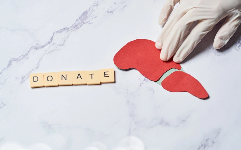 Organ donation, transplantology, health, healthcare, organ, donations