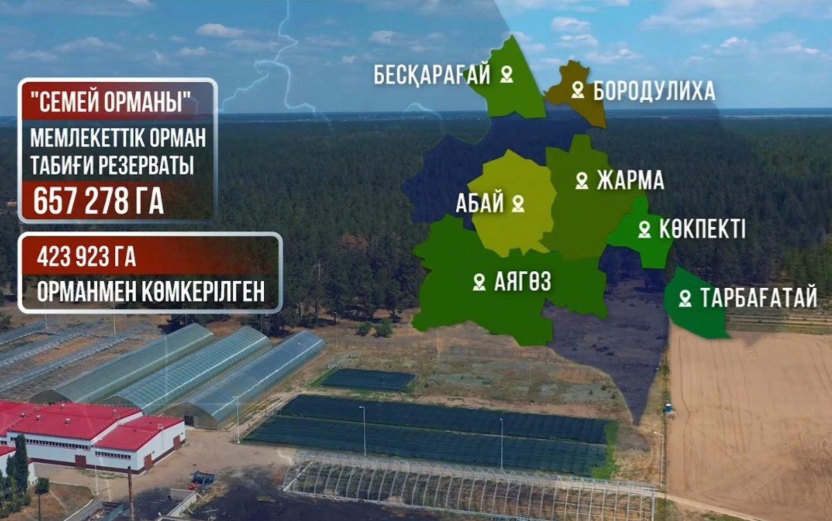 Резерват &laquo;Семей орманы&raquo;: путь к восстановлению