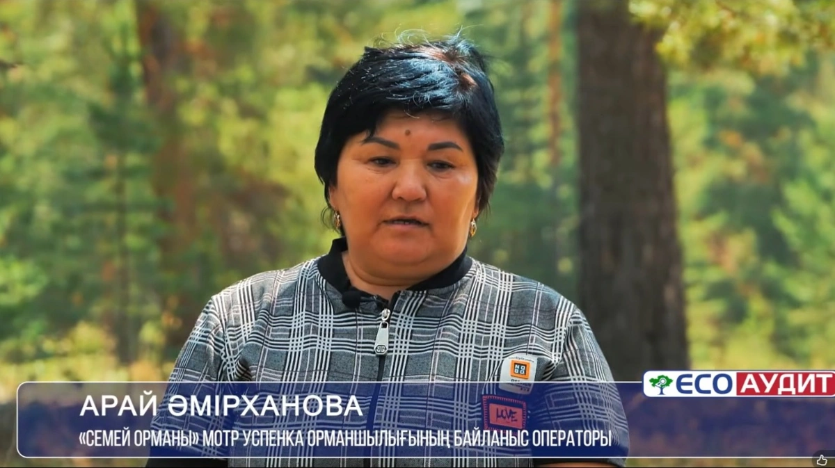 Семей орманы: қасіреттен кейінгі қайта түлеу