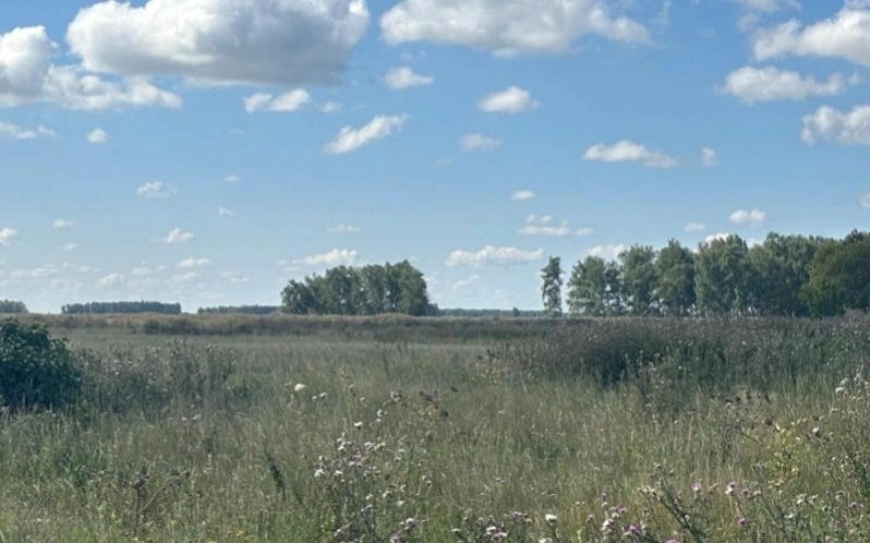 Kazakhstan studies genetic fund of wild plants Kazakhstan studies genetic fund of wild plants