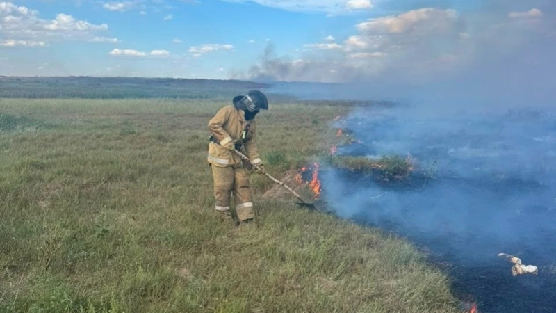Около 100 гектаров сухой растительности сгорело в Акмолинской области