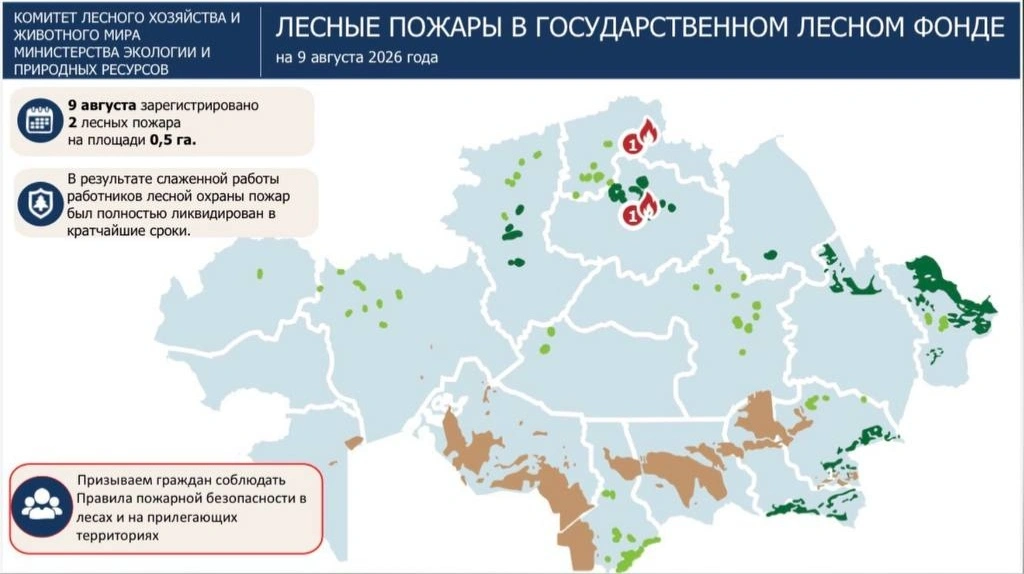 лесные пожары в Казахстане
