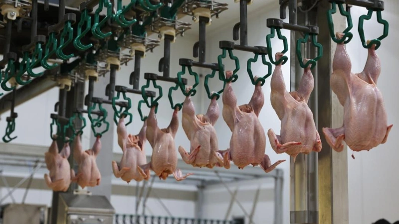 Kazakhstan boosts poultry meat self-sufficiency from 58% to 78%