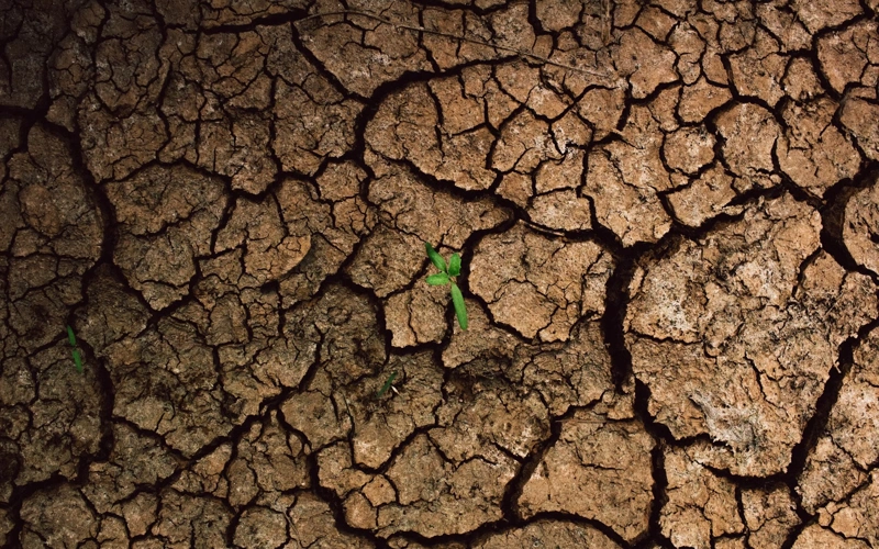 Drought, water shortage 