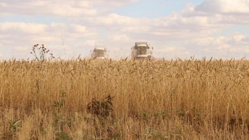 Уборка урожая