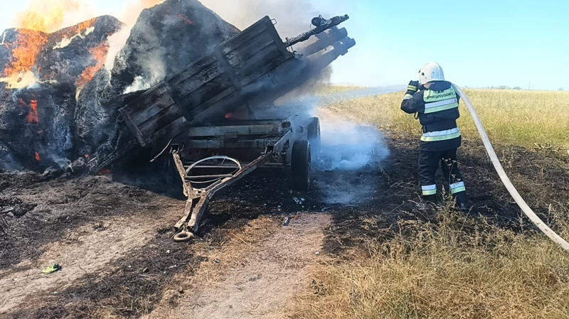 Более 150 тонн заготовленного сена уничтожили пожары в ВКО