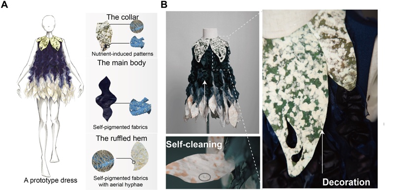 Shenzhen, textile, fungus, China, science, dress Shenzhen, textile, fungus, China, science, dress
