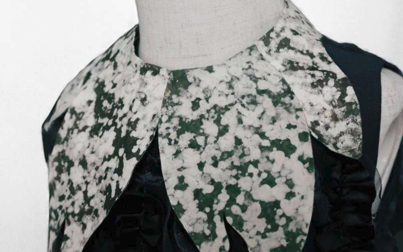 Shenzhen, textile, fungus, China, science Shenzhen, textile, fungus, China, science
