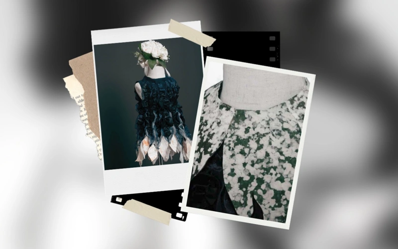 Shenzhen, textile, fungus, China, science