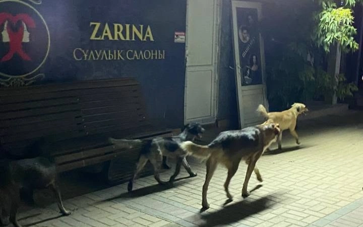 ит