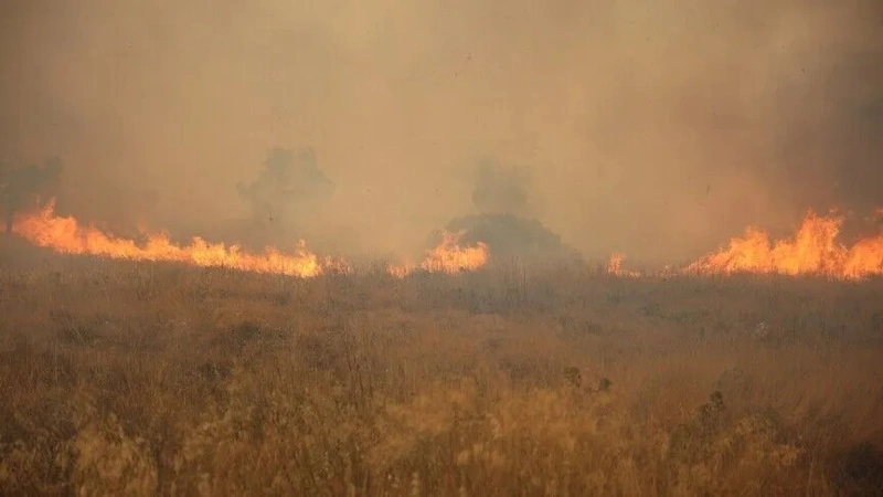 Northern Greece resort of Halkidiki hit by wildfire, evacuations underway