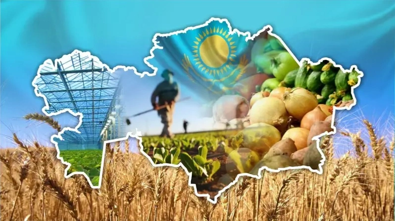 Астықтан жаңа нарықтарға дейін: Қазақстан Еуразияның азық-түлік хабына айналып келеді 