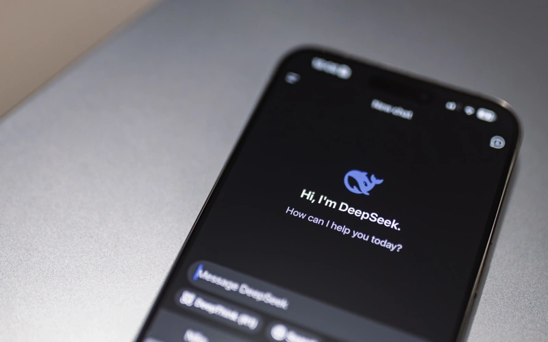 DeepSeek  