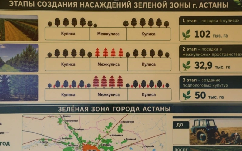 инфографика
